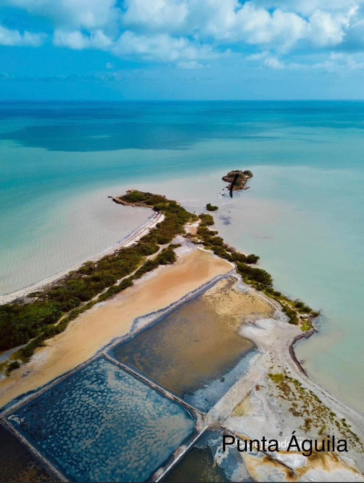 Combate El Carribe Paradise Cabo Rojo Eksteriør bilde